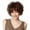 Brown, variant on Brown Curly Wig Short Wavy Synthetic Hair Women's Fashion Pullover Toupee Adjustable Cap Voluminous Party Costume Styling Wig 11.8 Inch