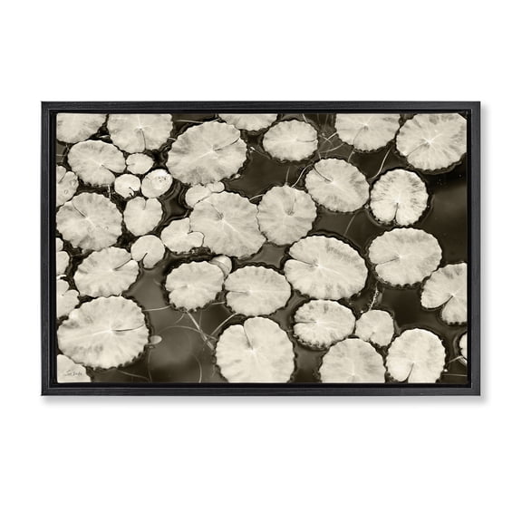 Stupell Industries Traditional White Floating Lily Pads Black Floating Frame Canvas Art, 25 x 17, by Lori Deiter