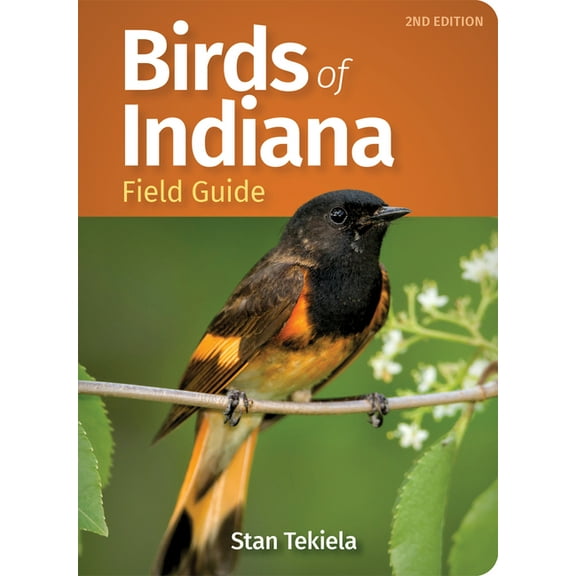 Bird Identification Guides: Birds of Indiana Field Guide (Paperback)