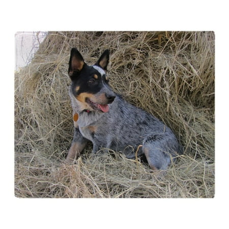 CafePress - Australian Blue Heeler Pup - Soft Fleece Throw Blanket, 50"x60" Stadium Blanket