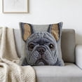 thumbnail image 4 of ddioayh Throw Pillow Cover Animal Print Soft Machine Washable 45x45cm for Sofa Chair Bedroom Home Decor Spring Easter Pet Theme Decorative Gift Idea, 4 of 6