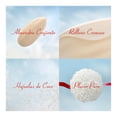 thumbnail image 4 of Galleta cubierta de coco Ferrero Raffaello confetteria relleno cremoso y alemendra entera 60 g, 4 of 5