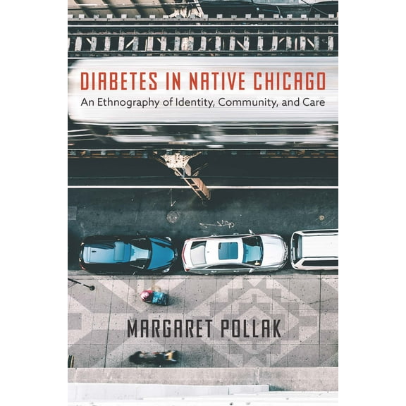 Diabetes in Native Chicago : An Ethnography of Identity, Community, and Care (Hardcover)