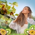 thumbnail image 2 of Air Wick Vibrant Plug-In Scented Oil Air Freshener Warmer Refills, Rainforest Kiwi and Passion Fruit, 2 Count, 2 of 10