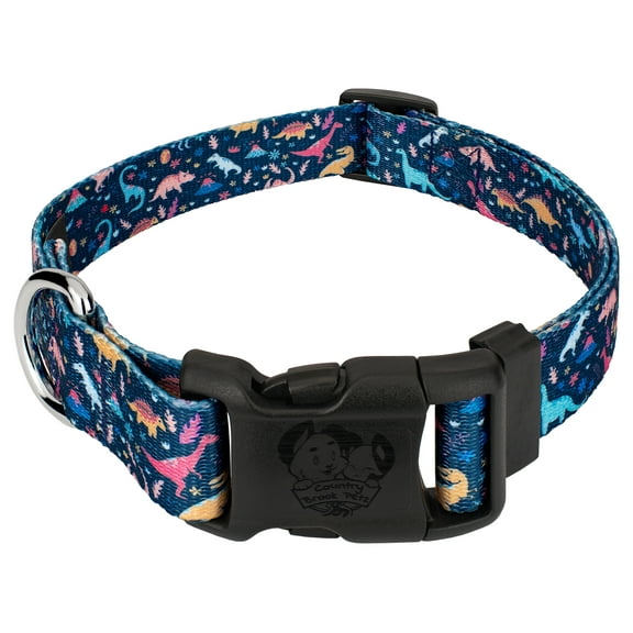 Country Brook Petz® Dinosaurs Everyday Dog Collar - Made in the U.S.A., Small