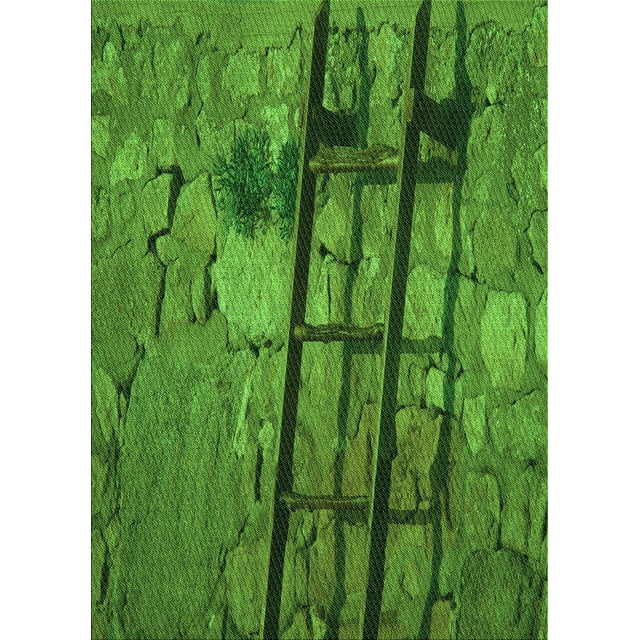 Ahgly Company Tapis d'Intérieur Lavables en Machine Rectangle Transitionnel Vert Émeraude Profond, 2' x 3'