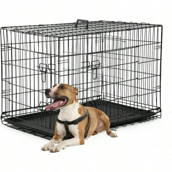 Dog Crate Dog Kennel Cage with Double Door36 inch Folding Metal Wire Dog Cage with Removable TrayDivider Panel Pet Crate for Medium Dogs Black