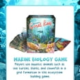 thumbnail image 4 of Juego de mesa Genius Games Ecosystem: Coral Reef Kids & Family, 4 of 8