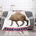 thumbnail image 3 of Manta suave y divertida de 152 x 127 cm con diseño de capibara, roedores, animales, para sofá, cama, silla, sala de estar y camping., 3 of 8