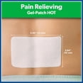thumbnail image 2 of Parche en gel Salonpas Hot para aliviar el dolor 6 unidades, 2 of 7
