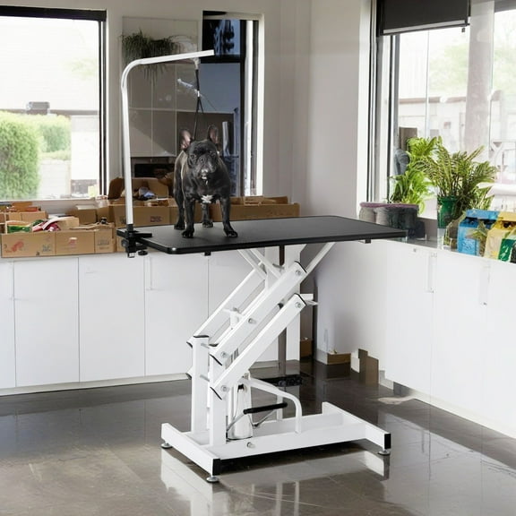 Demi Bonn 42" Pet Grooming Table for Dogs, Adjustable Heavy Type Hydraulic Grooming Table with Adjustable Arm, Black