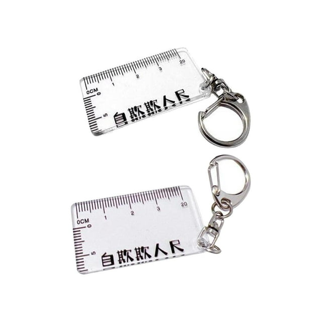 Ruler Shaped Keyring Pendant Lobster Buckle for Men Women Backpack Tote 2pcs Hugo lindo llavero