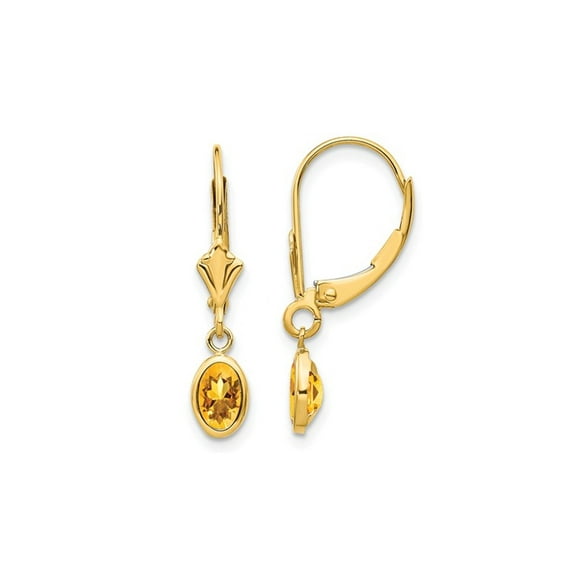 Gem & Harmony 14K Yellow Gold Natural Citrine 4/5 Carat (Ctw) Leverback Earrings for Women