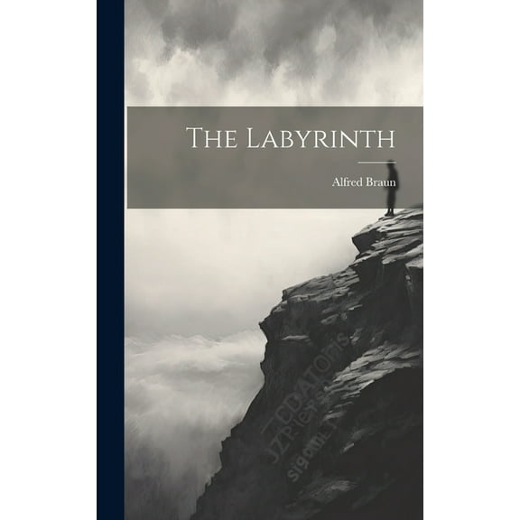 The Labyrinth (Hardcover)