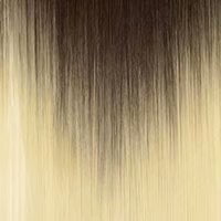 Dark Brown/Honey Blonde