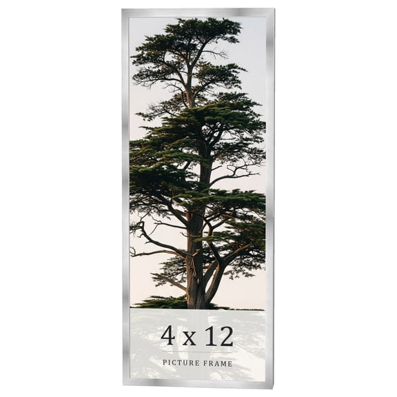 4x12 In Frame Silver Real Wood Picture Frame Width 0.75 inches | Interior Frame Depth 0.5 inches |