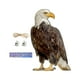 thumbnail image 2 of Decoración de búho falso Scarer de pájaro de búho falso de búho señuelo Búho para mantener a los pájaros alejados Estilo E, 2 of 7
