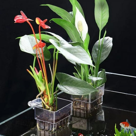 Aquarium Hydroponics Planting Cup Household Aquatic Plant Cup Acrylic Cup Fish Tank Landscaping Decoration