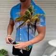 thumbnail image 2 of Camisa de playa hawaiana para hombre Camisa bohemia de verano Pompotops oipoqjl45118, 2 of 6