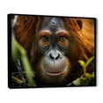 thumbnail image 2 of Designart "Captivating Orangutan Portrait in Photograph" Animals Floater Framed Wall Art Print, 2 of 7