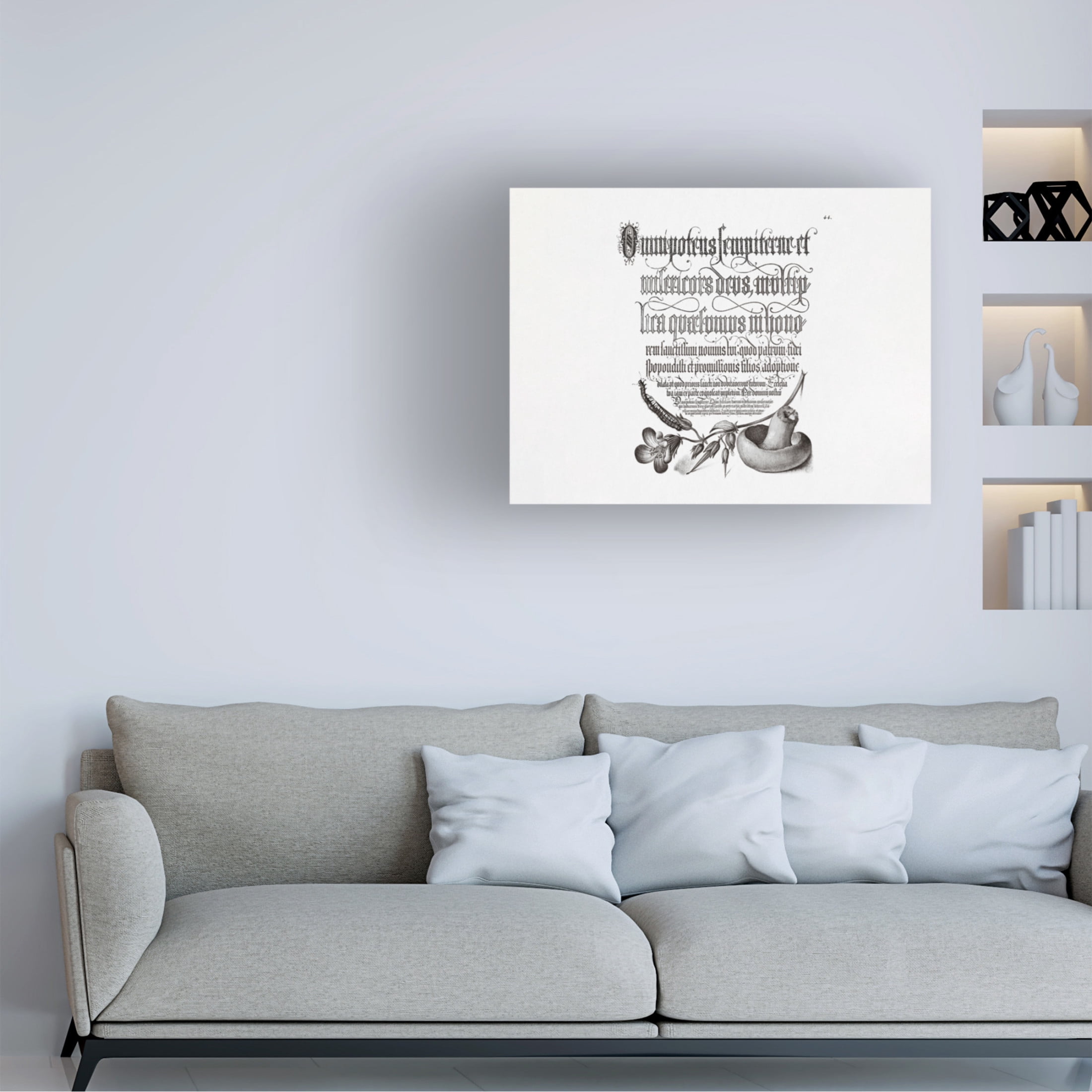 Trademark Fine Art Pictufy Centipede, Wood Cranesbil Canvas Wall Art