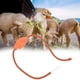 thumbnail image 4 of LYUMO Limpiador vaginal intestinal 2 uds Enemator Animal irrigador uterino limpiador Rectal limpiador intestinal para uso Animal LYUMO No se aplica, 4 of 6