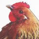 thumbnail image 3 of UPOUART 2Ud Con Estaca De Acrílico En Forma De Gallina Para Jardín Y, 3 of 6