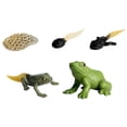 thumbnail image 2 of de juguetes de animales realistas, modelo de proceso de  en miniatura, de acción, modelo de , juguete CUTICAT Juego de crecimiento de rana para niños, 2 of 7