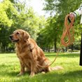 thumbnail image 2 of Pet Leash Heavy Duty Rope Leash for Medium And Large Dogs with Elastic Cushioning And Reflective Strips Extra Long Durable Nylon Webbing for Safe Night Walks And Outdoor Training, 2 of 7