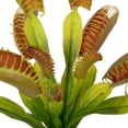 thumbnail image 2 of Planta artificial Venus atrapamoscas Vickerman, 30 cm, verde, paquete de 3, 2 of 7