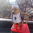 thumbnail image 7 of Halloween Nun Cloak Costume For Small Cats And Dogs Soft Cotton Cosplay Dress, 7 of 7