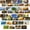 Wild Animals, variant on Best Paper Postcards 40 Pack Nature Bulk, Blank Travel Postcards for Mailing, 20 Assorted Scenic Photos, Four Seasons (4x6 In)