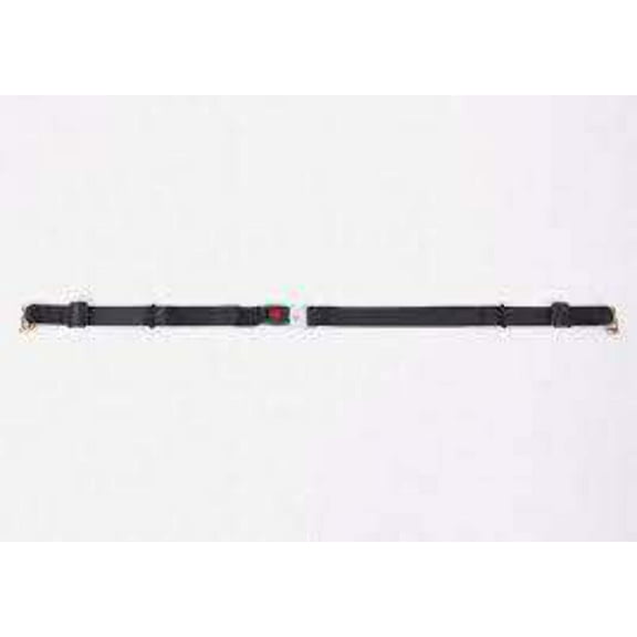 Standard Lap Belt for Series L Track Length: 98" | FE200594