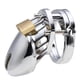 thumbnail image 4 of Juguete sexual para adultos con bloqueo de castidad de metal para hombre yeacher Cerradura de castidad, 4 of 6