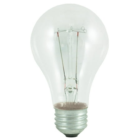 

25 Watt Incandescent Standard A19 Medium Base Clear 2/PK Pack of 120