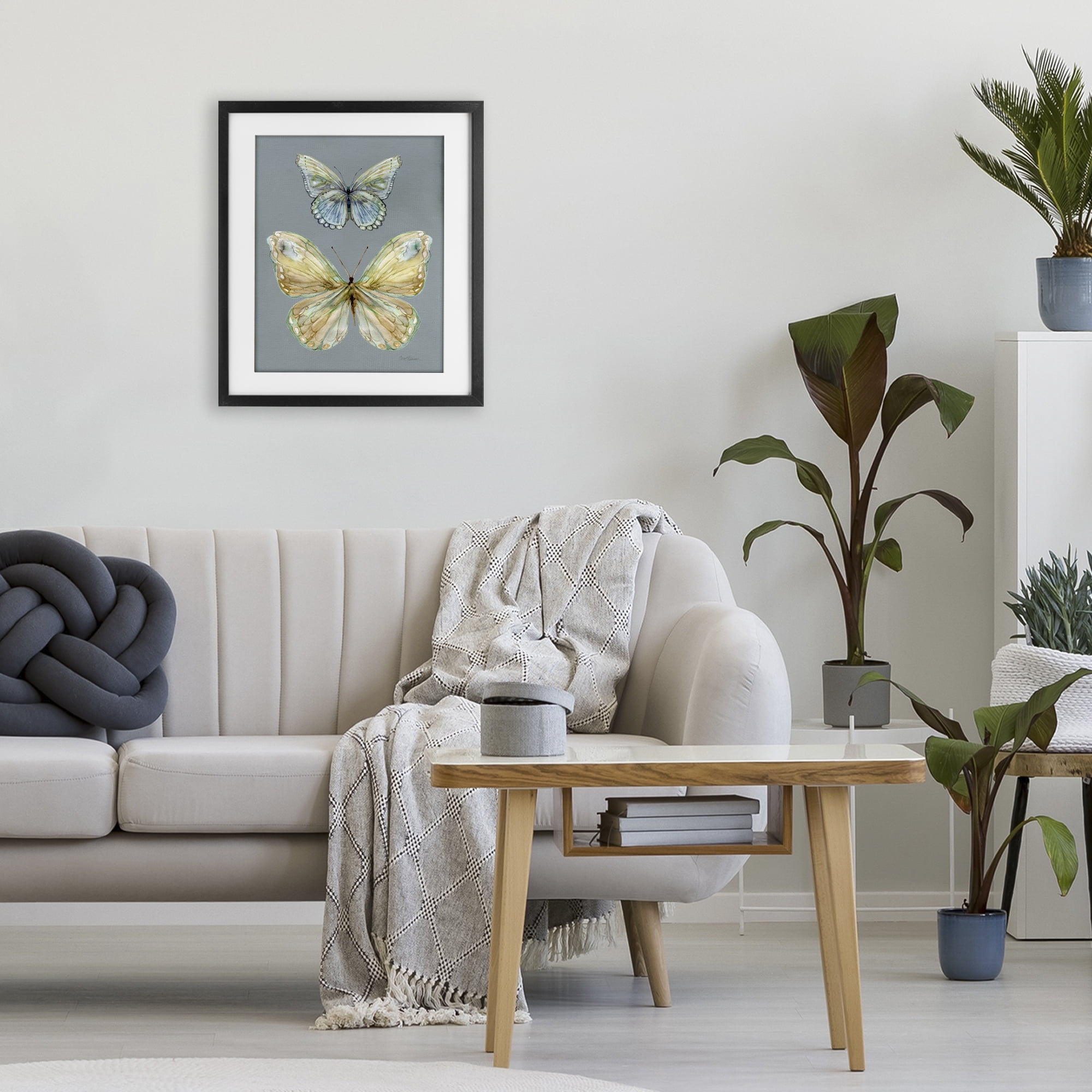 Stupell Industries Delicate Butterflies on Slate Black Framed Print Under Glass, design by Carol Robinson
