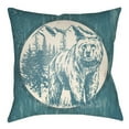 thumbnail image 6 of Indoor Outdoor LGCB2010-2020 Square 20" x 20" Pillow Cover + Polyfill, 6 of 7
