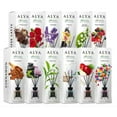thumbnail image 6 of Alya Natural Scent Reed Diffuser 3.3oz Angel's, 6 of 6