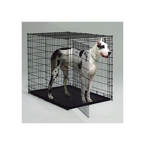 Midwest Big Dog Crate, Black, 54" x 35" x 45"