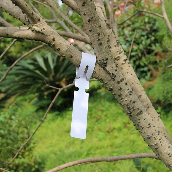 WRISTBIQUE 100Pcs Hanging Tree Tags Assorted Color Plastic Plant Labels