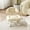 #B, variant on Rolling Low Stool with Backrest, Low Rolling Stool with Wheels and 360-Degree Casters, Comfortable Cushion Swivel Chair for Home, Garage, and Workshop
