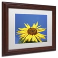 thumbnail image 4 of Trademark Fine Art "Facing the Sun II" Canvas Art by Kurt Shaffer, White Matte, Wood Frame, 4 of 4