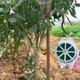 thumbnail image 5 of Alambre trenzado de jardín de 100 m para plantas trepadoras, enredaderas, arbustos y flores (verde), 5 of 5