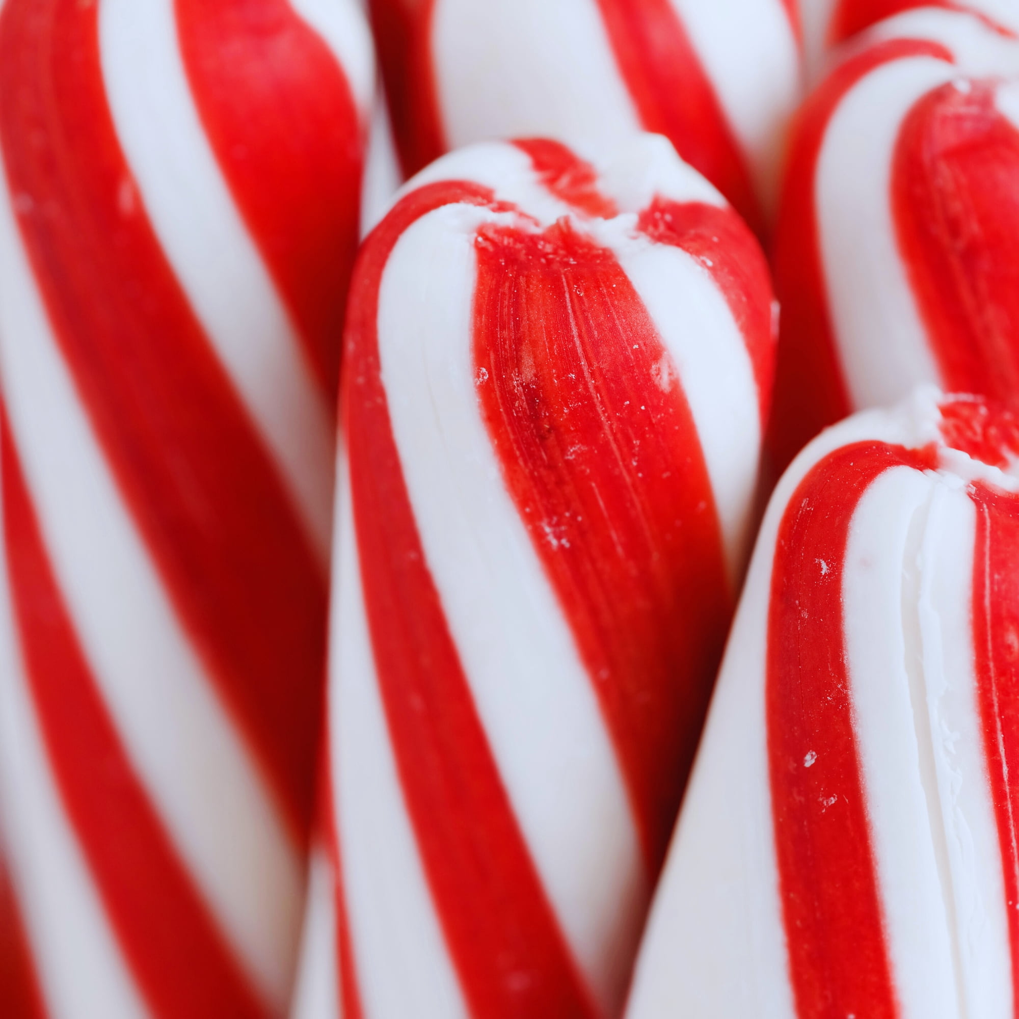 (5) Jumbo Peppermint Stick, 3.5 oz. Big 10-Inch Red White Striped Candy Individually Wrapped Holiday Mint Treats Christmas Party Gourmet Favors Stocking Stuffer Gift Basket Fillers Dessert Toppers