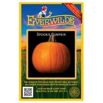 Everwilde Farms - 20 Spookie Pumpkin Seeds - Gold Vault Seed Packet