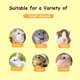thumbnail image 4 of Baño de arena para hámster Contenedor de baño de arena para animales pequeños de plástico Caja de arena para hámster Sala de sauna Bañera con pala para osos dorados Chinchilla Rojo Verde Cocina, Decoración y Otros, 4 of 5