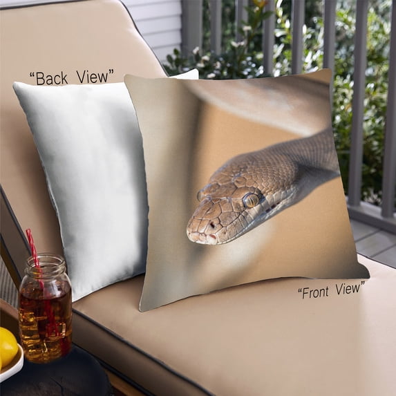 Ahgly Company Animals Snake Outdoor Throw Pillow, 18 inch by 18 inch