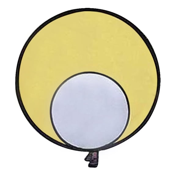 Promaster 3843 SystemPRO ReflectaDisc  22" Silver/Gold