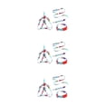 thumbnail image 3 of Greeniant 3 uds./Kit de collar para mascotas hebilla de correa ajustable mediano grande mascotas caminando arnés de moda reutilizable Type1 NO1, 3 of 6