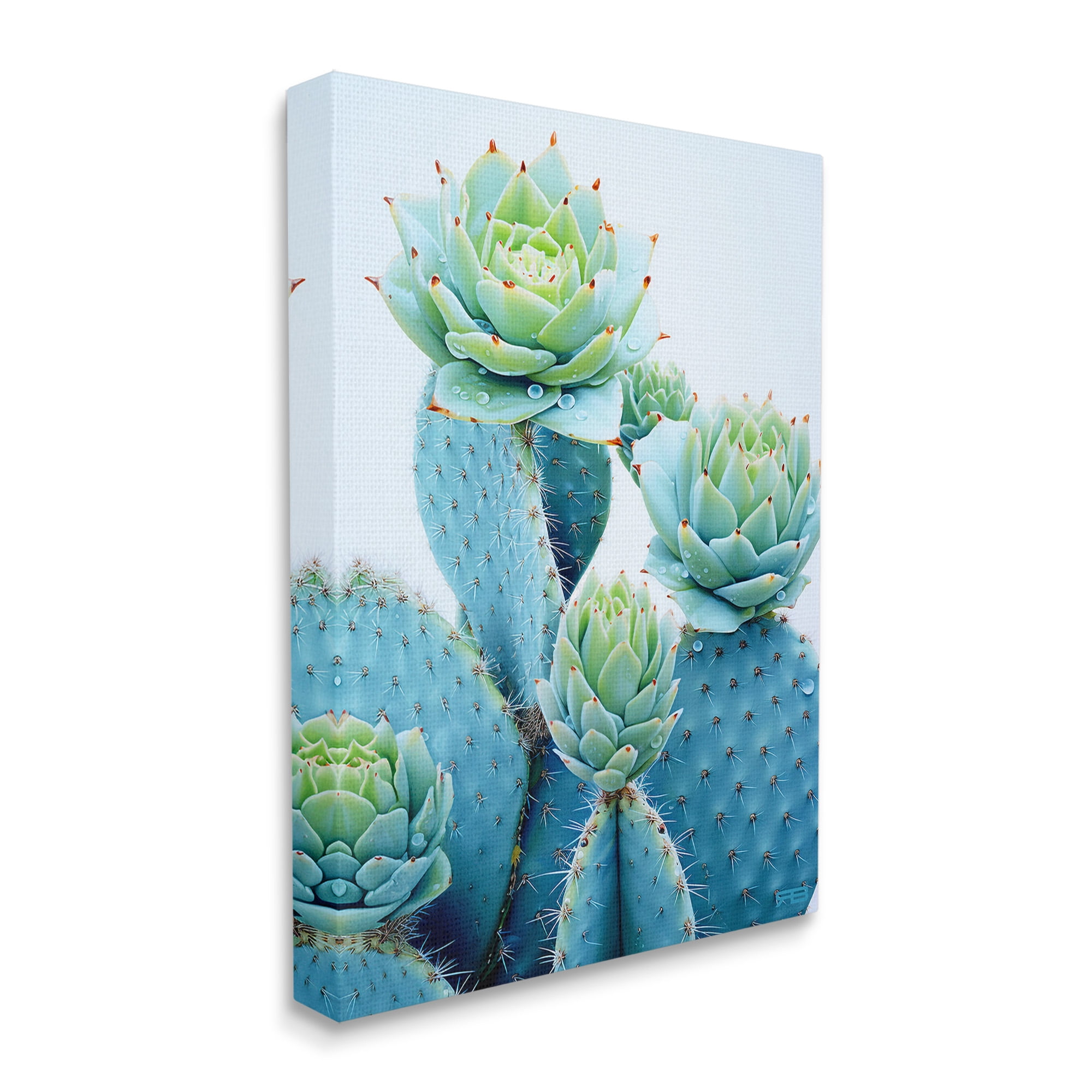 Stupell Industries Cactus with Succulent Blooms Botanical & Floral Painting Gallery Wrapped Canvas Art Print Wall Art, 16 x 20